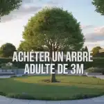 Arbre adulte de 3m au centre d un jardin aménagé