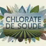 Illustration chlorate de soude avec paysage naturel et cristaux