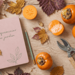 plaqueminier kakis mûrs sur table automnale