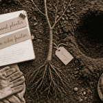 quand planter un arbre fruitier, jeune arbre racines nues, outils de jardinage