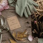 quand tailler les pivoines sur plan de travail de jardinage
